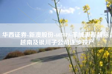 华西证券-新澳股份-603889-羊绒表现靓丽，越南及银川子公司逐步投产