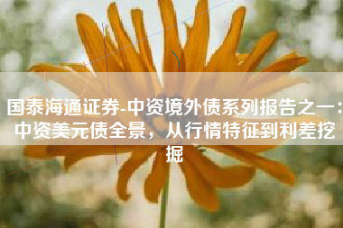 国泰海通证券-中资境外债系列报告之一：中资美元债全景，从行情特征到利差挖掘
