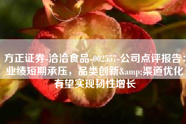 方正证券-洽洽食品-002557-公司点评报告：业绩短期承压，品类创新&渠道优化有望实现韧性增长