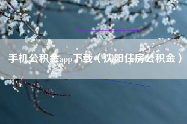 手机公积金app下载（沈阳住房公积金）