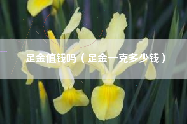 足金值钱吗（足金一克多少钱）