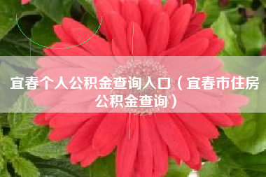 宜春个人公积金查询入口（宜春市住房公积金查询）