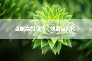查股票的网站（股票查询网）