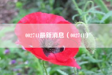 002741最新消息（002741）