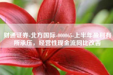 财通证券-北方国际-000065-上半年盈利有所承压，经营性现金流同比改善