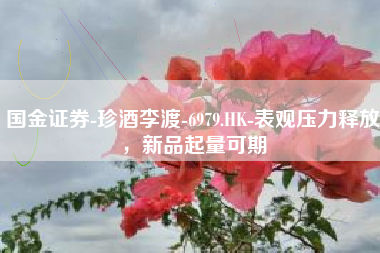 国金证券-珍酒李渡-6979.HK-表观压力释放，新品起量可期