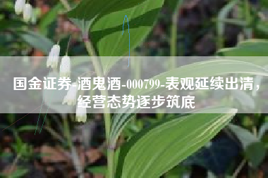 国金证券-酒鬼酒-000799-表观延续出清，经营态势逐步筑底