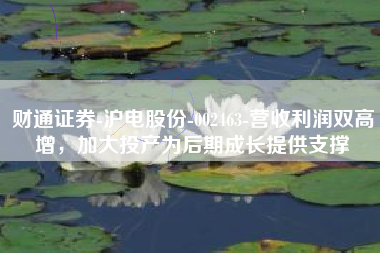 财通证券-沪电股份-002463-营收利润双高增，加大投产为后期成长提供支撑
