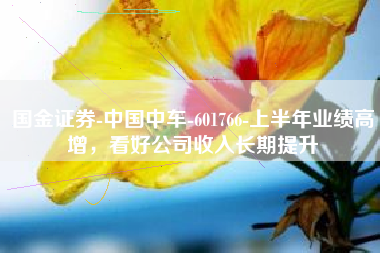 国金证券-中国中车-601766-上半年业绩高增，看好公司收入长期提升