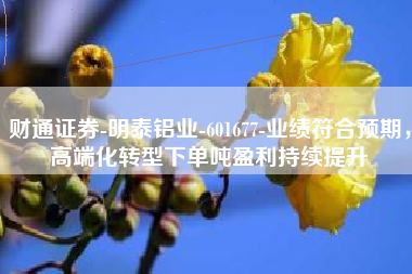 财通证券-明泰铝业-601677-业绩符合预期，高端化转型下单吨盈利持续提升