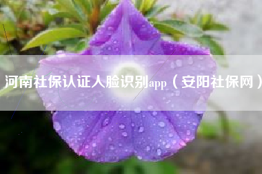 河南社保认证人脸识别app（安阳社保网）