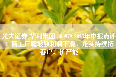 光大证券-华利集团-300979-2025年中报点评：新工厂爬坡致利润下滑，龙头持续拓客户、扩产能