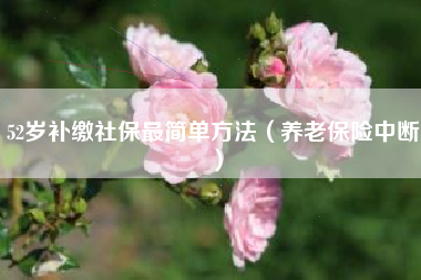 52岁补缴社保最简单方法（养老保险中断）