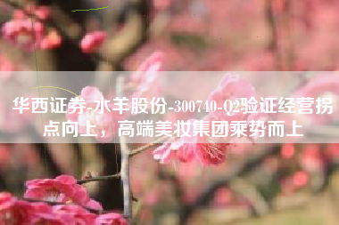 华西证券-水羊股份-300740-Q2验证经营拐点向上，高端美妆集团乘势而上