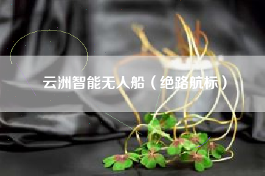云洲智能无人船（绝路航标）