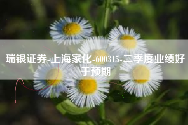 瑞银证券-上海家化-600315-二季度业绩好于预期