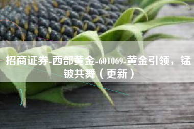招商证券-西部黄金-601069-黄金引领，锰铍共舞（更新）