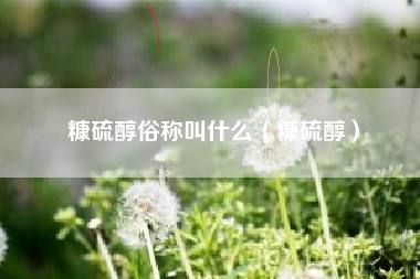 糠硫醇俗称叫什么（糠硫醇）