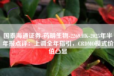 国泰海通证券-药明生物-2269.HK-2025年半年报点评：上调全年指引，CRDMO模式价值凸显
