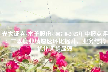 光大证券-水羊股份-300740-2025年中报点评：二季度业绩增速环比提升，业务结构优化逐步显效