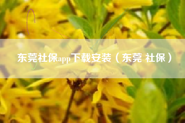 东莞社保app下载安装（东莞 社保）