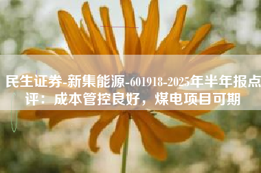 民生证券-新集能源-601918-2025年半年报点评：成本管控良好，煤电项目可期