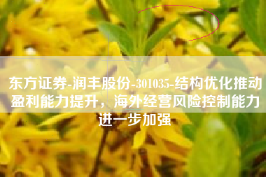 东方证券-润丰股份-301035-结构优化推动盈利能力提升，海外经营风险控制能力进一步加强