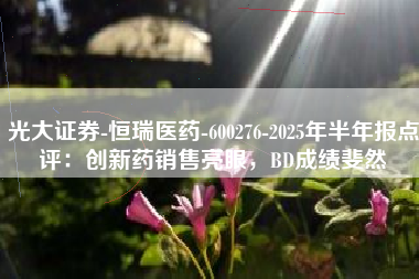 光大证券-恒瑞医药-600276-2025年半年报点评：创新药销售亮眼，BD成绩斐然