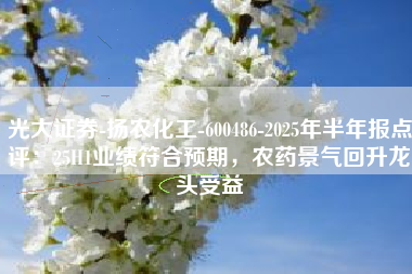 光大证券-扬农化工-600486-2025年半年报点评：25H1业绩符合预期，农药景气回升龙头受益