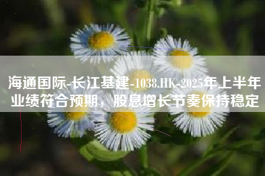 海通国际-长江基建-1038.HK-2025年上半年业绩符合预期，股息增长节奏保持稳定