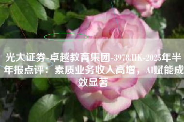 光大证券-卓越教育集团-3978.HK-2025年半年报点评：素质业务收入高增，AI赋能成效显著