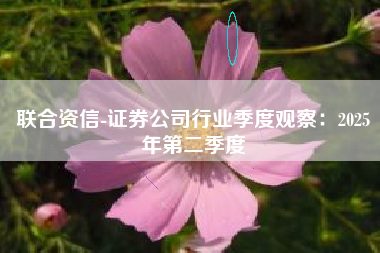 联合资信-证券公司行业季度观察：2025年第二季度