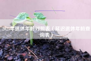 2025年退休年龄对照表（延迟退休年龄查询表）