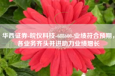 华西证券-皖仪科技-688600-业绩符合预期，各业务齐头并进助力业绩增长