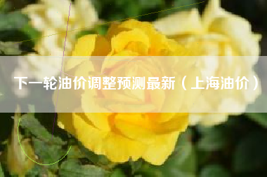 下一轮油价调整预测最新（上海油价）
