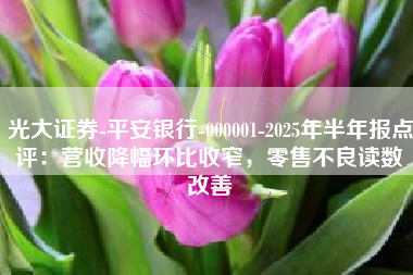 光大证券-平安银行-000001-2025年半年报点评：营收降幅环比收窄，零售不良读数改善