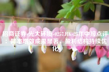 招商证券-光大环境-0257.HK-25年中报点评：降本增效成果显著，盈利结构持续优化