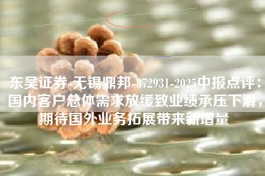 东吴证券-无锡鼎邦-872931-2025中报点评：国内客户总体需求放缓致业绩承压下滑，期待国外业务拓展带来新增量