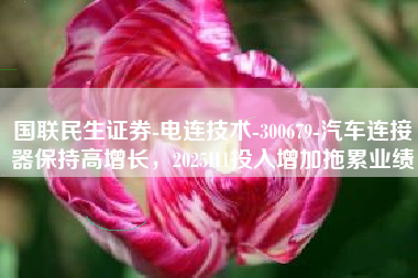 国联民生证券-电连技术-300679-汽车连接器保持高增长，2025H1投入增加拖累业绩