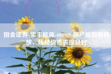 国金证券-宝丰能源-600989-新产能如期释放，烯烃价差表现良好