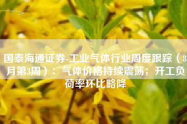 国泰海通证券-工业气体行业周度跟踪（8月第3周）：气体价格持续震荡；开工负荷率环比略降