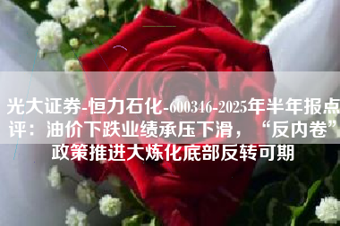 光大证券-恒力石化-600346-2025年半年报点评：油价下跌业绩承压下滑，“反内卷”政策推进大炼化底部反转可期