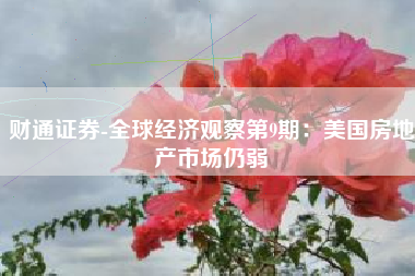 财通证券-全球经济观察第9期：美国房地产市场仍弱