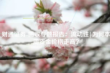 财通证券-固收专题报告：流动性|为何本周资金价格走高？