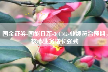 国金证券-国能日新-301162-业绩符合预期，核心业务增长强劲
