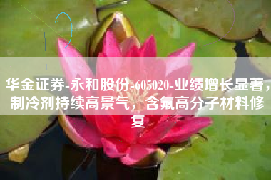 华金证券-永和股份-605020-业绩增长显著，制冷剂持续高景气，含氟高分子材料修复