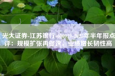 光大证券-江苏银行-600919-2025年半年报点评：规模扩张再提速，业绩增长韧性高