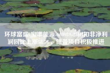 环球富盛-宝丰能源-600989-25H1扣非净利润同比上涨58.7%，储备项目积极推进
