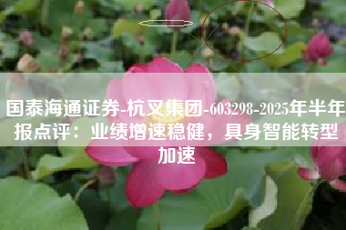 国泰海通证券-杭叉集团-603298-2025年半年报点评：业绩增速稳健，具身智能转型加速