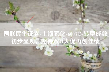 国联民生证券-上海家化-600315-转型成效初步显现，期待双11大促再创佳绩
